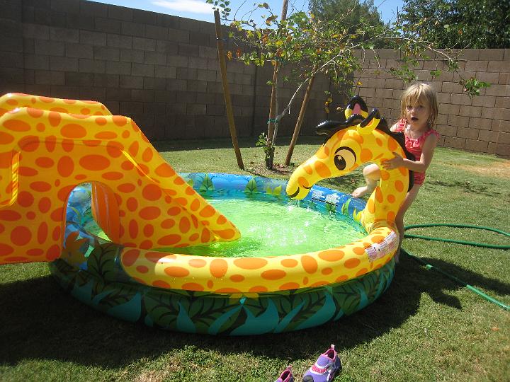 Giraffe Pool 5.JPG